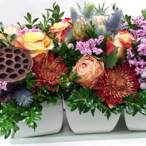 Coll's Florist